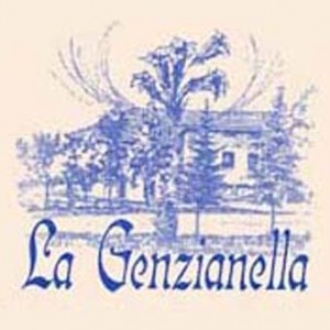 genzianella-selvapiana, logo
